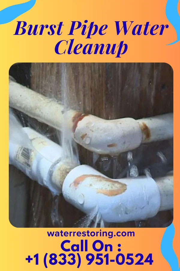Burst Pipe Water Cleanup in Glasgow, WV