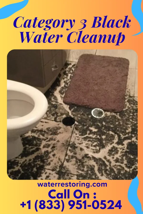 Category 3 Black Water Cleanup in Glasgow, WV
